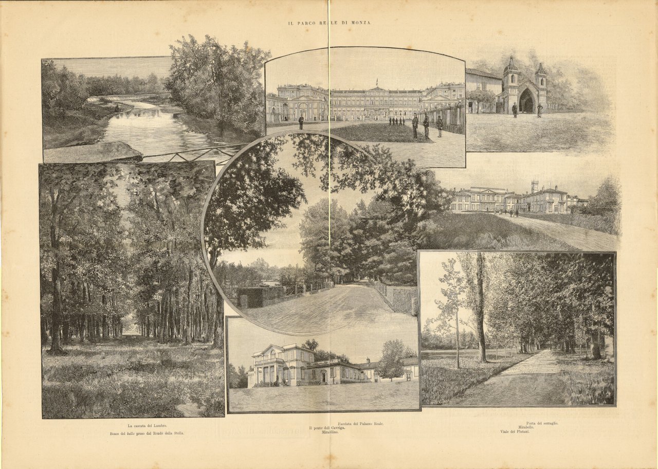 Il parco Reale di Monza. Stampa 1889 | Immagine principale