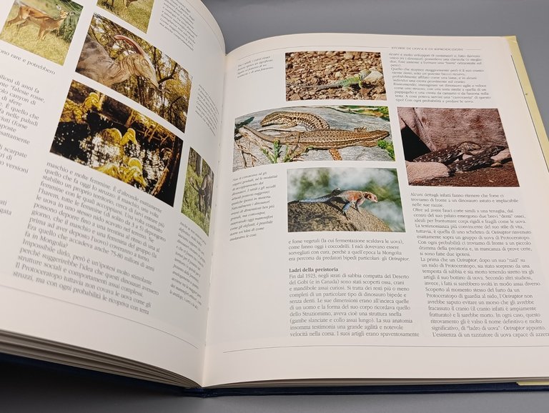 Il Pianeta Dei Dinosauri - Libro Piero Alberto Angela 1 …