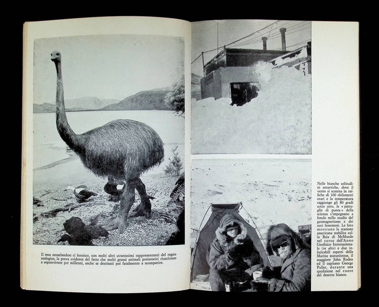 Il Pianeta Sconosciuto | Immagine Gallery 6