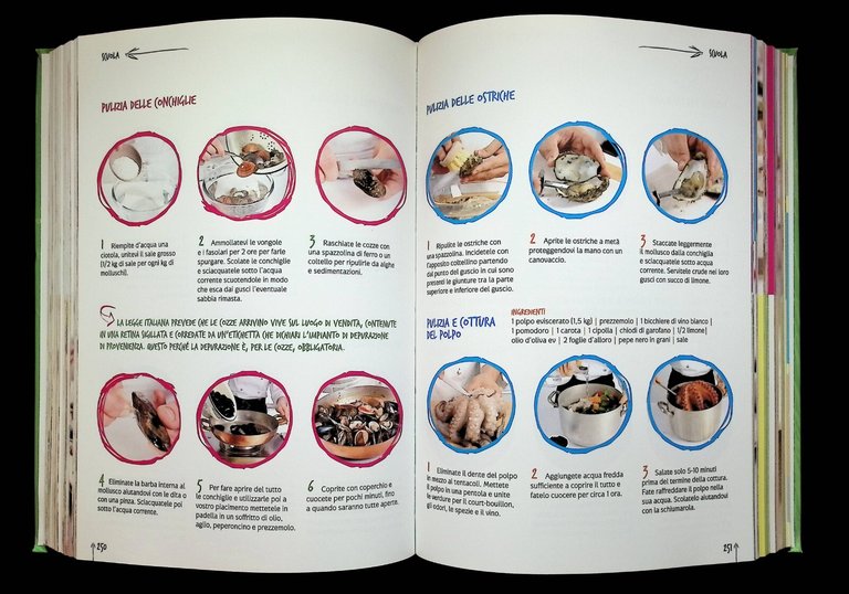 Il Piccolo Cucchiaio D'Oro Libro Cucina Italiana Migliori Ricette 9788861543942