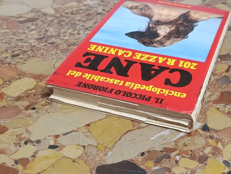 Il Piccolo Fiorone. Enciclopedia Tascabile del Cane. 201 Razze Canine | Immagine Gallery 6