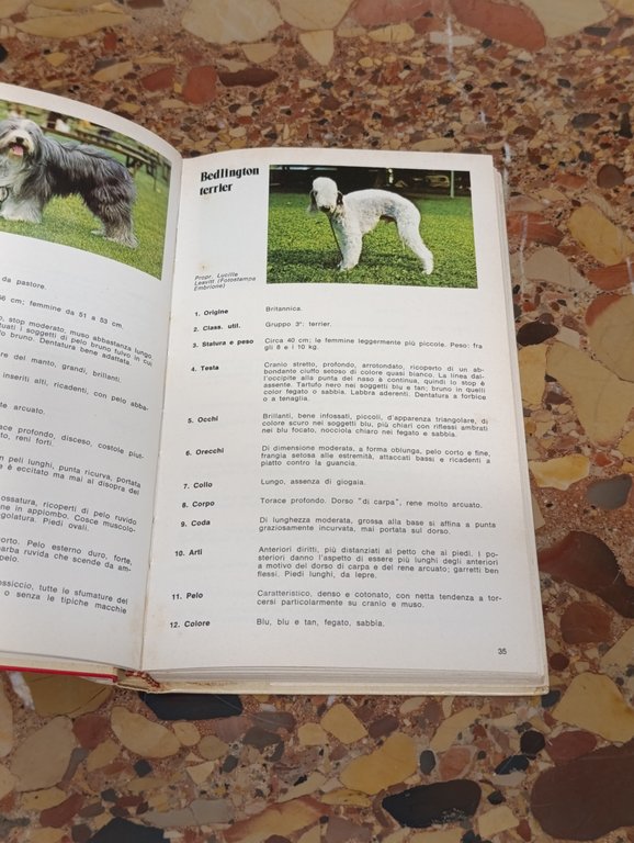 Il Piccolo Fiorone. Enciclopedia Tascabile del Cane. 201 Razze Canine | Immagine Gallery 7