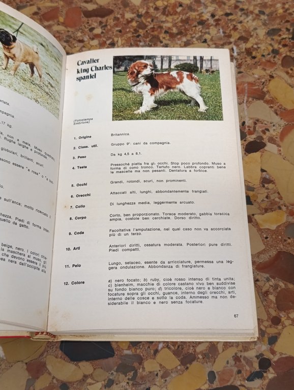 Il Piccolo Fiorone. Enciclopedia Tascabile del Cane. 201 Razze Canine | Immagine Gallery 8
