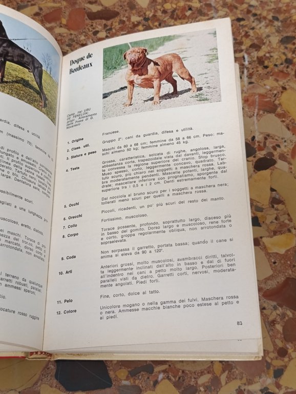 Il Piccolo Fiorone. Enciclopedia Tascabile del Cane. 201 Razze Canine | Immagine Gallery 9