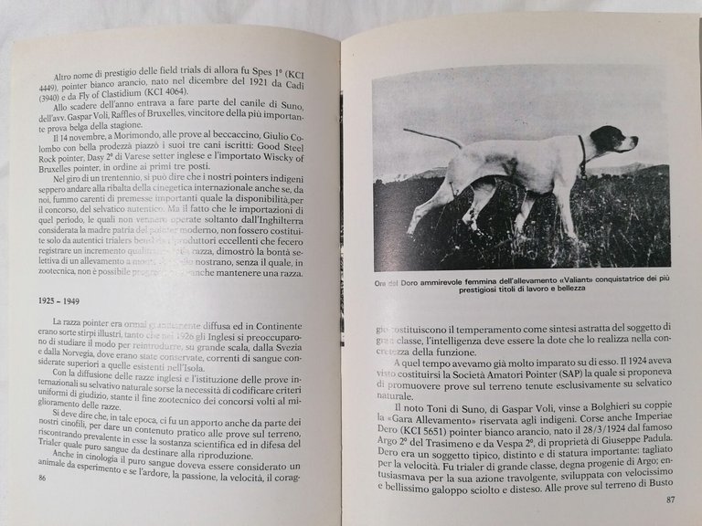 Il Pointer Moderno - Felice Steffenino Libro Cani da Caccia …