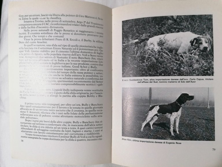 Il Pointer Moderno - Felice Steffenino Libro Cani da Caccia …