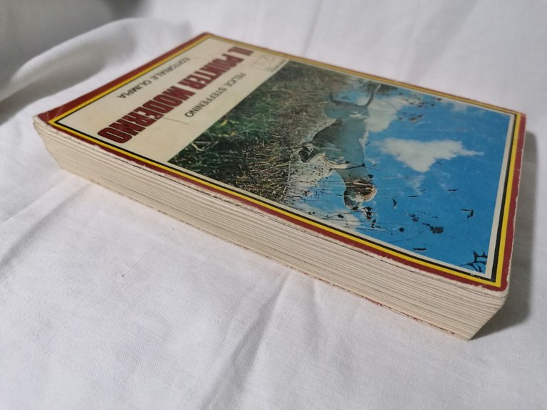 Il Pointer Moderno - Felice Steffenino Libro Cani da Caccia …