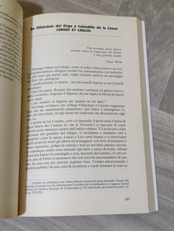 Il portico della gloria. Lourdes, Santiago de Compostela, Finisterre a …