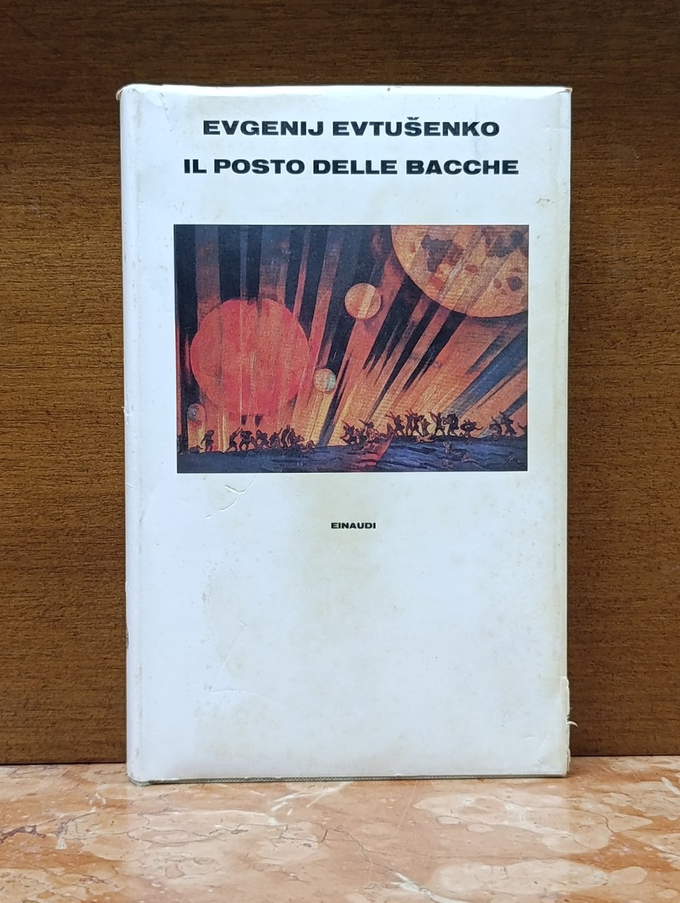 Il posto delle bacche | Immagine principale