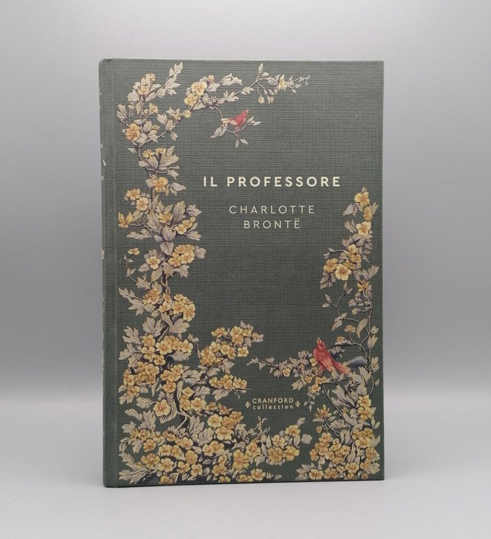 Il professore