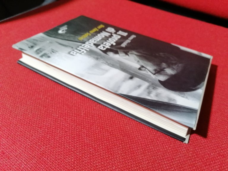 Il profeta di Nomadelfia. Don Zeno Saltini