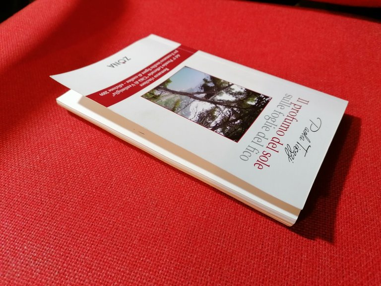 Il profumo del sole sulle foglie del fico