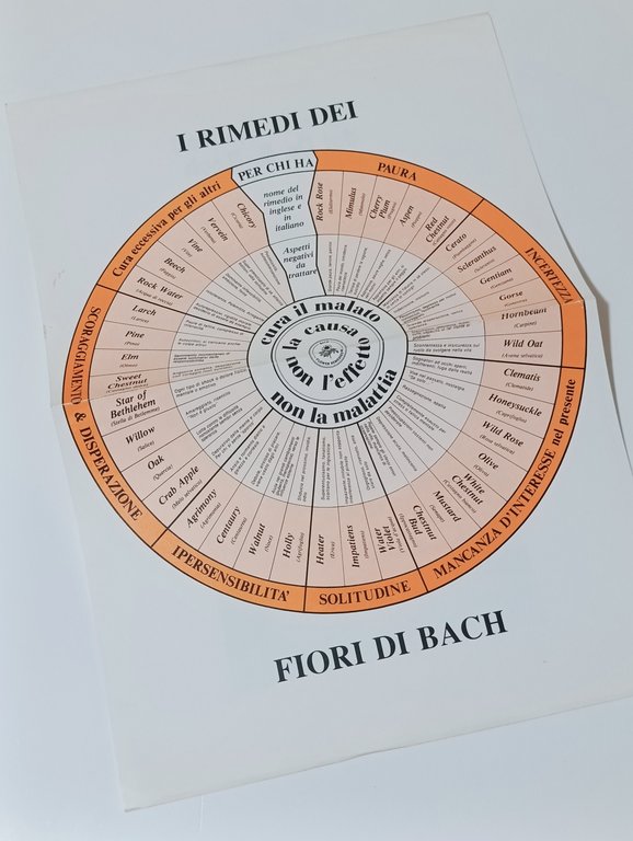 Il pronto soccorso con i fiori di Bach. L'azione terapeutica … | Immagine Gallery 10