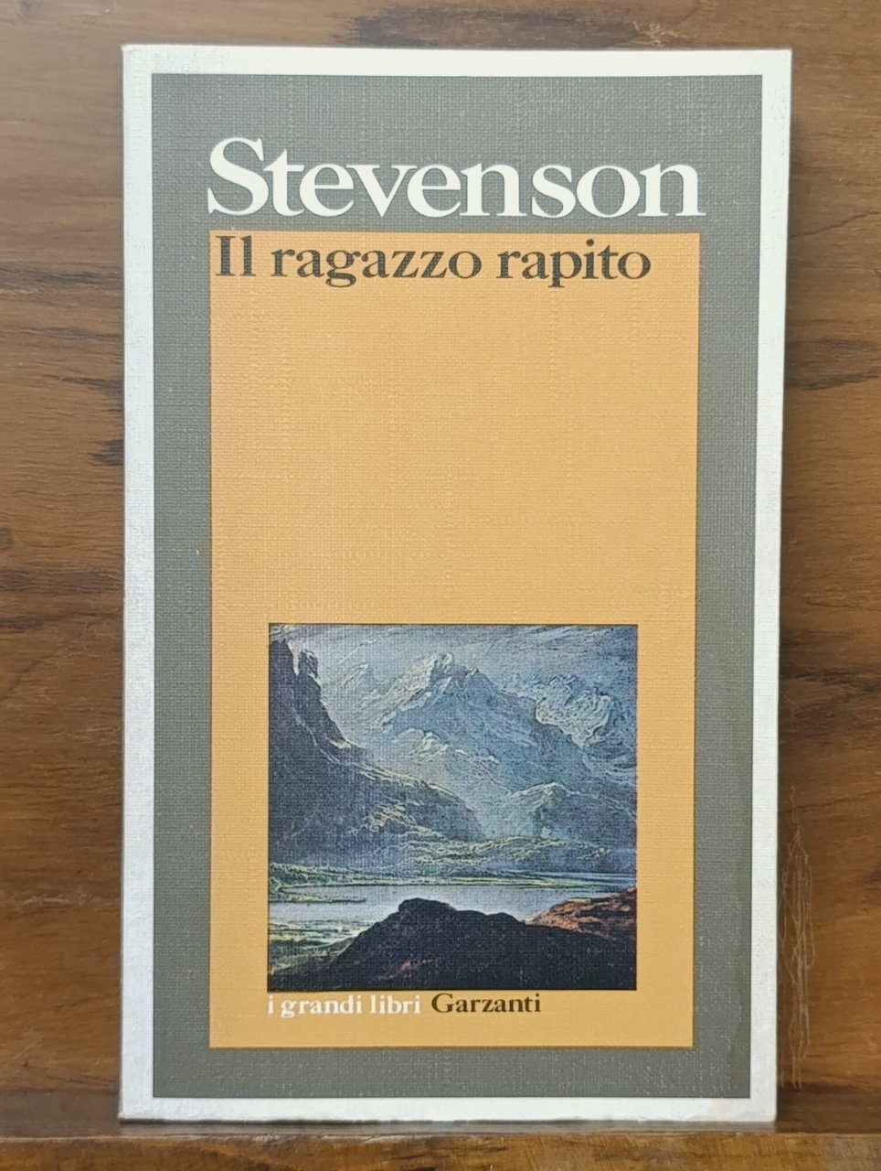 Il ragazzo rapito. I grandi libri Garzanti | Immagine principale