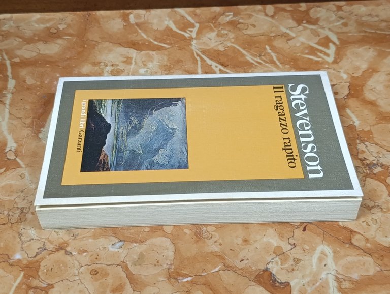 Il ragazzo rapito. I grandi libri Garzanti | Immagine Gallery 4