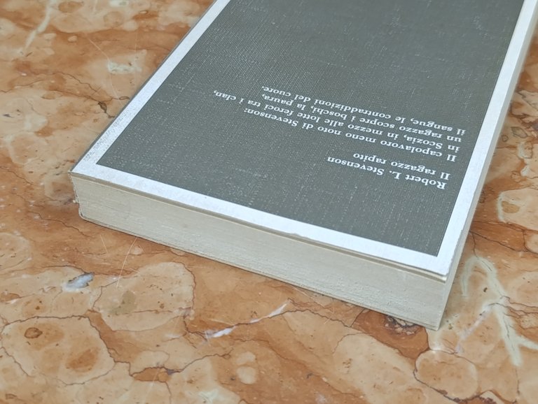 Il ragazzo rapito. I grandi libri Garzanti | Immagine Gallery 6