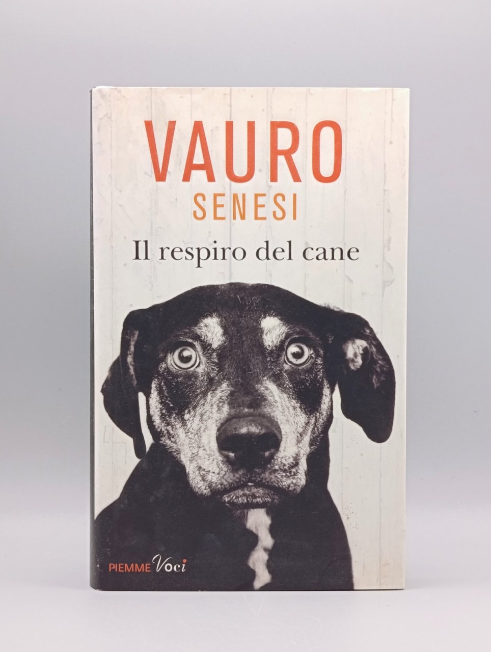 Il respiro del cane | Immagine principale