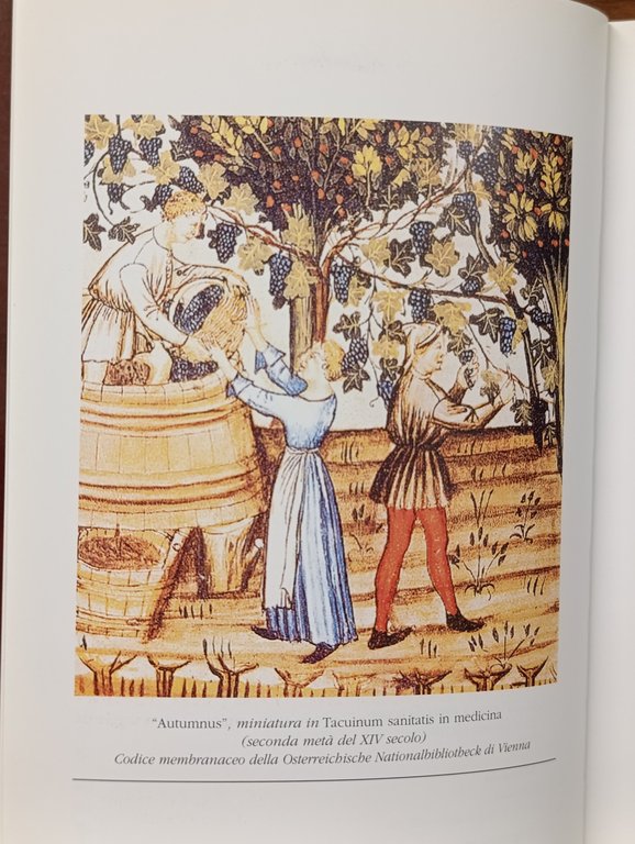 Il Rossese di Dolceacqua. Il vino, il territorio di produzione, … | Immagine Gallery 9