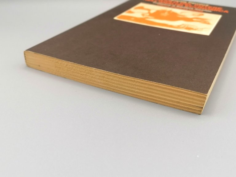 Il ruolo del Potere nell'Analisi Economica - Libro Perroux Franco …