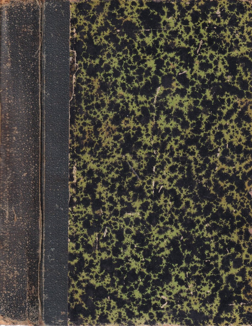 Il Segreto di Pinocchio. Viaggio Ignorato del Celebre Burattino del … | Immagine principale