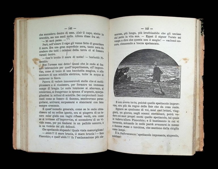 Il Segreto di Pinocchio. Viaggio Ignorato del Celebre Burattino del … | Immagine Gallery 4