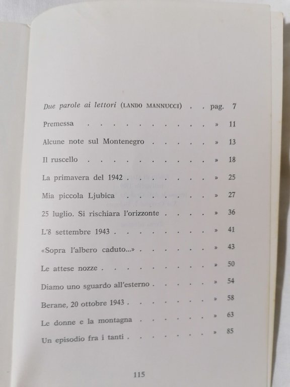 Il sentiero sotto la neve