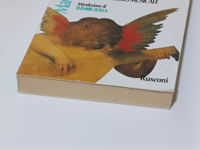 Il significato della musica. Simboli, forme, valori del linguaggio musicale