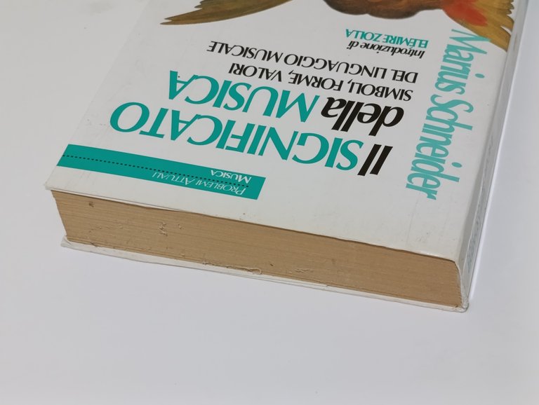 Il significato della musica. Simboli, forme, valori del linguaggio musicale