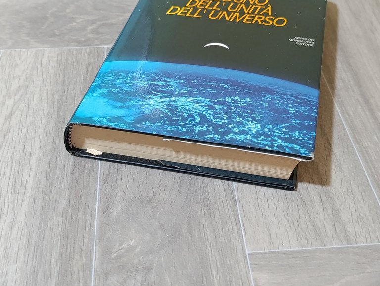 Il sogno dell'unità dell'universo /