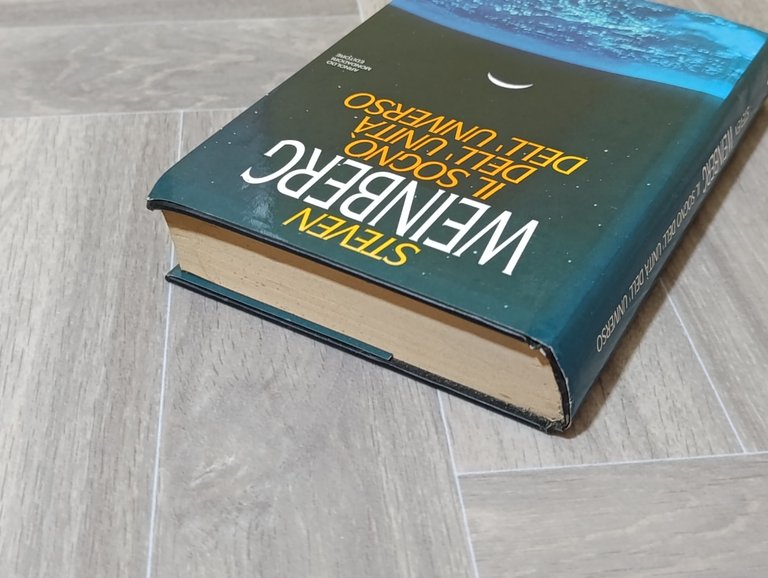 Il sogno dell'unità dell'universo /