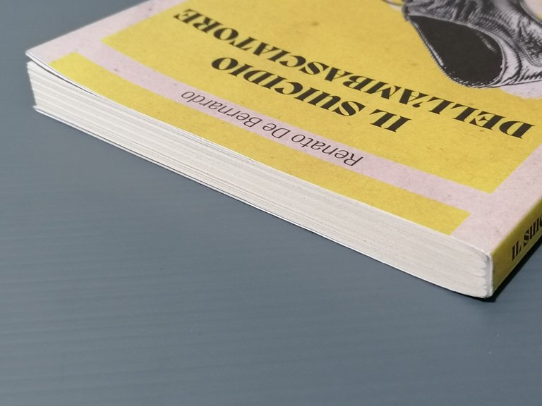 Il suicidio dell'ambasciatore