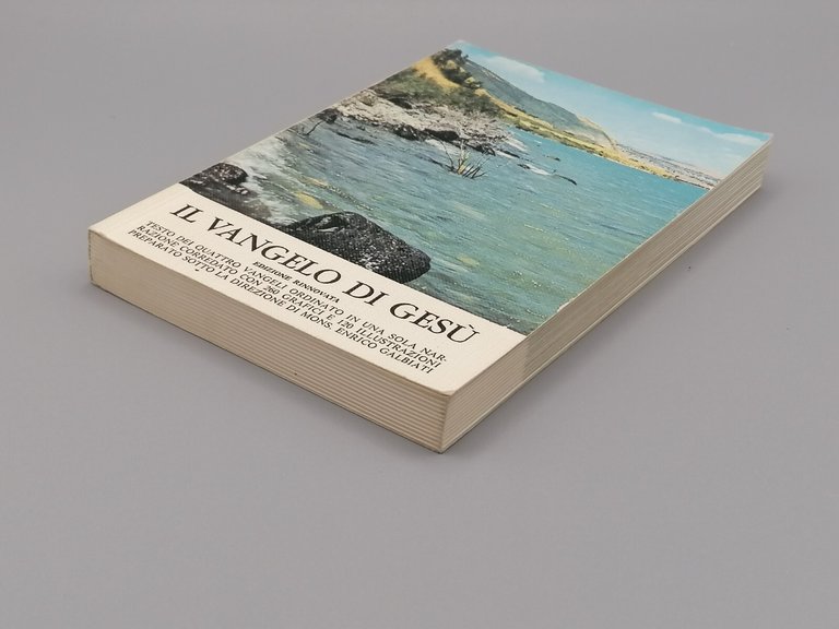 Il Vangelo Di Gesù Edizione Rinnovata 4 Vangeli In Uno …