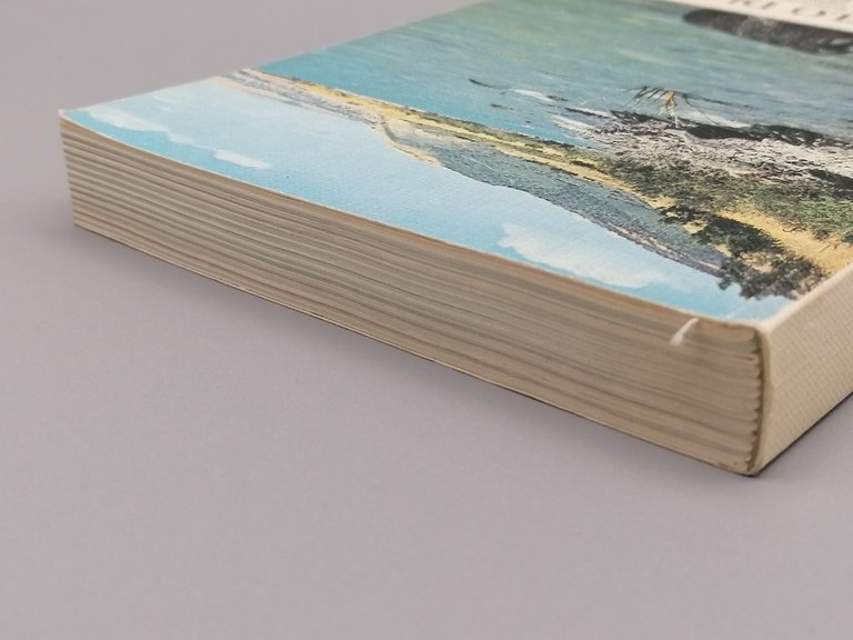 Il Vangelo Di Gesù Edizione Rinnovata 4 Vangeli In Uno …