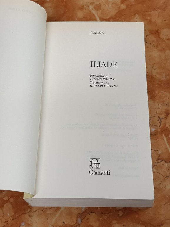 Iliade. Versione in prosa | Immagine Gallery 7