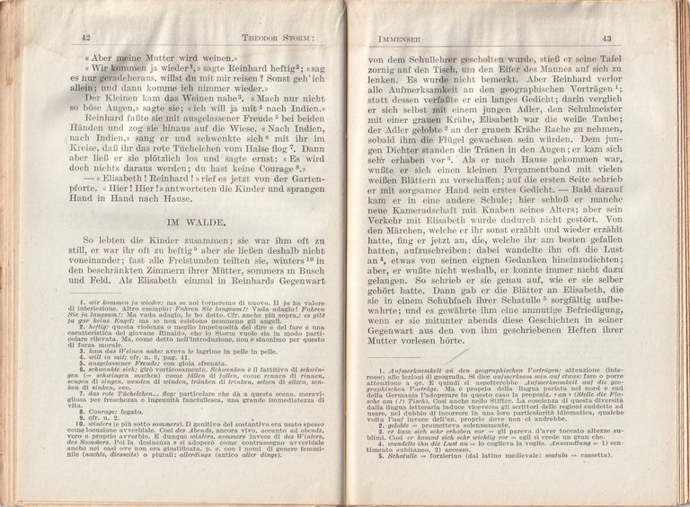 Immensee e Poesie Scelte | Immagine Gallery 5