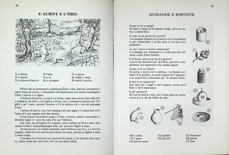 Imparamu u Ventemegliusu Libro Dialetto Ventimiglia Azaretti Villa Crespi 1979
