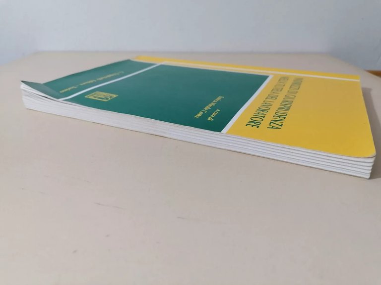 Indirizzi Di Giurisprudenza Nella Tutela Del Lavoratore Libro Minale Costa …