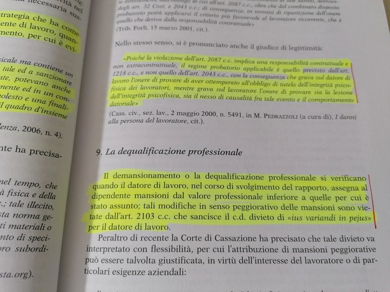 Indirizzi Di Giurisprudenza Nella Tutela Del Lavoratore Libro Minale Costa …