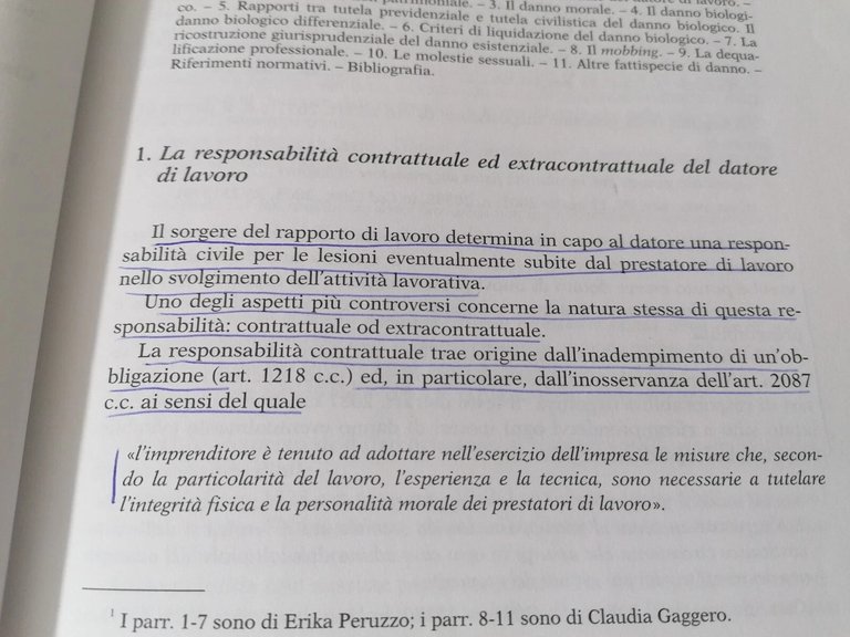 Indirizzi Di Giurisprudenza Nella Tutela Del Lavoratore Libro Minale Costa …