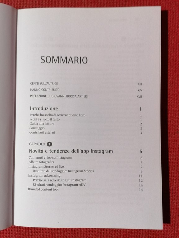 Instagram marketing. Strategia e regole nell'influencer marketing | Immagine Gallery 5