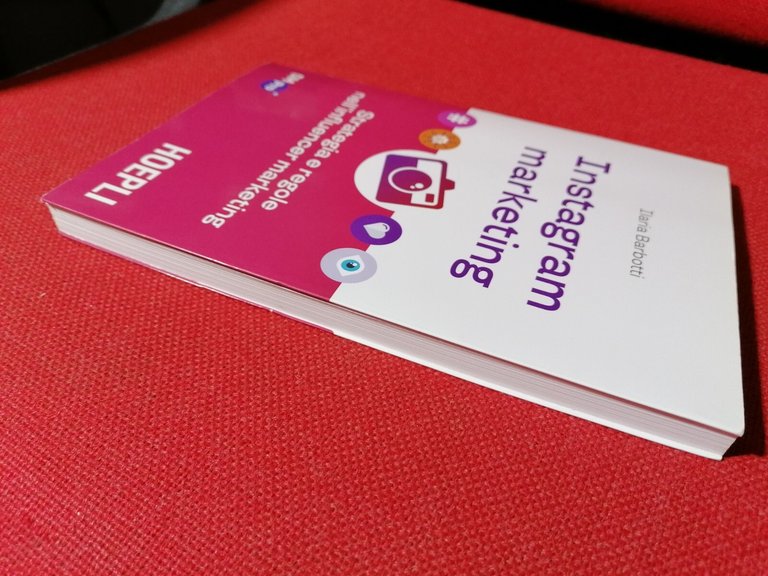 Instagram marketing. Strategia e regole nell'influencer marketing | Immagine Gallery 9