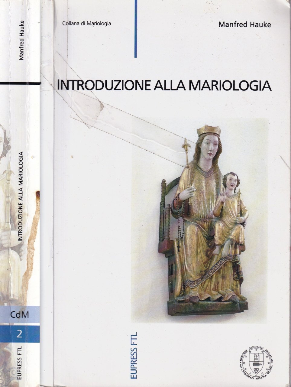 Introduzione alla mariologia | Immagine principale