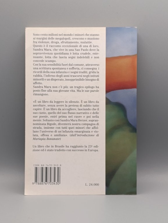 Io Anderson Bigode. Diario di una ragazza di strada