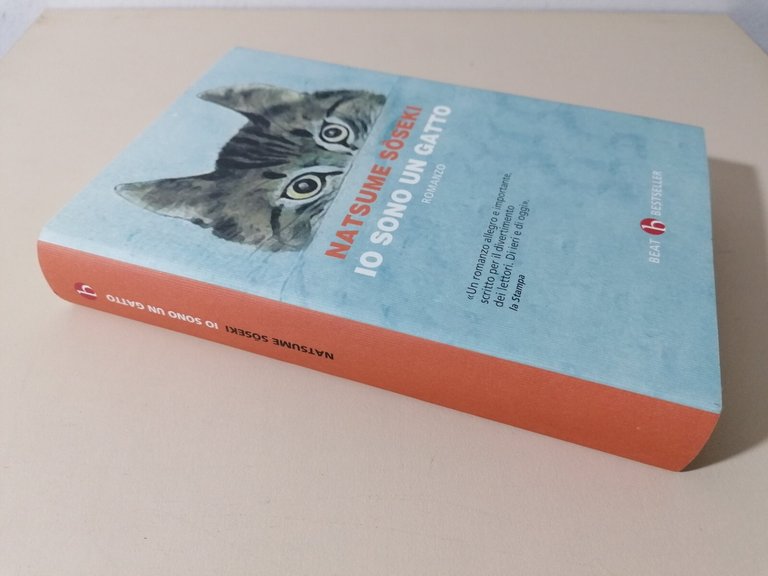 Io sono un gatto