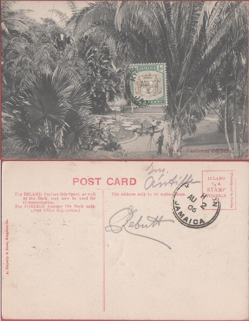 Jamaica Castleton Gardens. Viaggiata 1906. Animata | Immagine principale