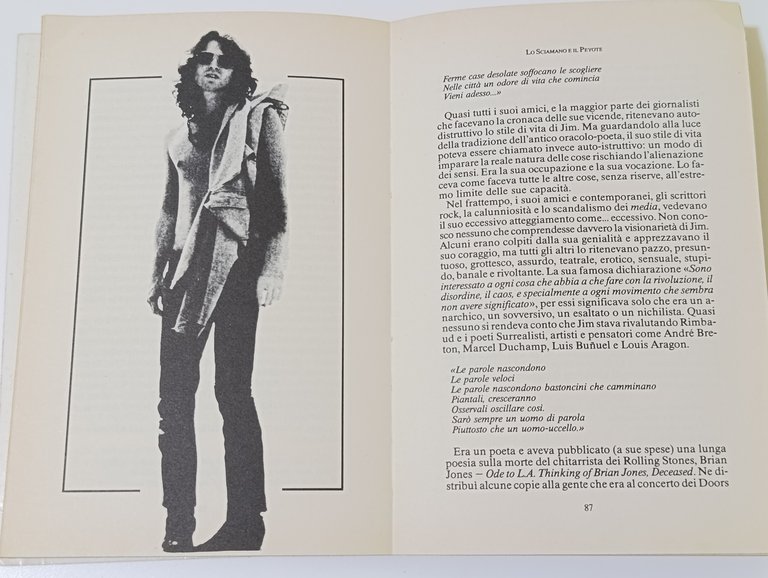 Jim Morrison. Lo sciamano &amp; il peyote