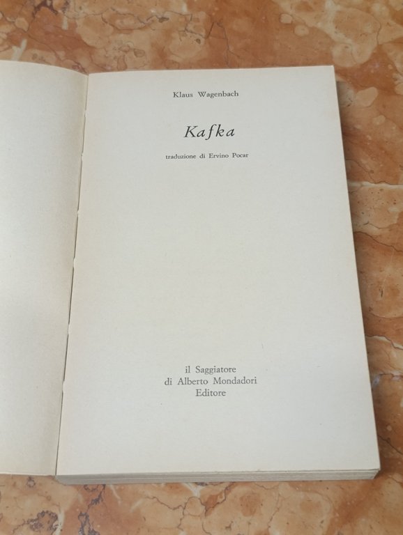 Kafka. Descrizione di una Battaglia per l'Esistenza. I Gabbiani | Immagine Gallery 7
