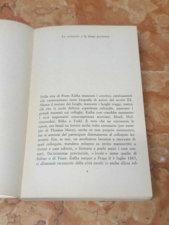 Kafka. Descrizione di una Battaglia per l'Esistenza. I Gabbiani | Immagine Gallery 8