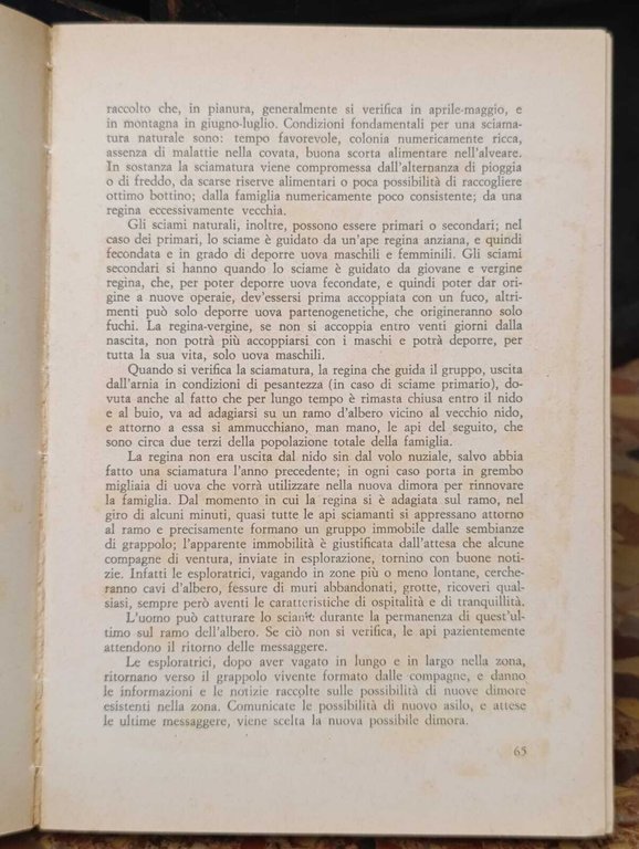 L'Allevamento Moderno delle Api. Manuale Pratico | Immagine Gallery 6