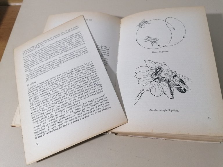 L'Allevamento Moderno Delle Api Manuale Pratico Libro Biri Prima Edizione …